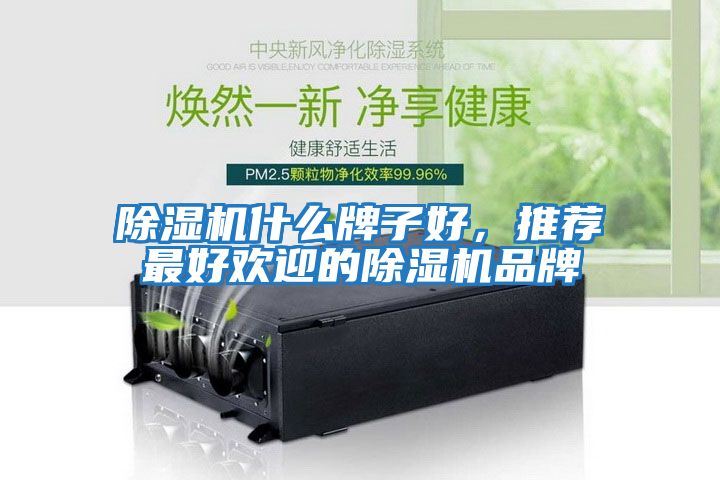 除濕機什么牌子好，推薦最好歡迎的除濕機品牌