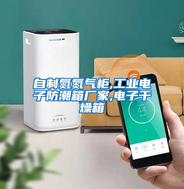 自制氮氮?dú)夤?工業(yè)電子防潮箱廠家,電子干燥箱