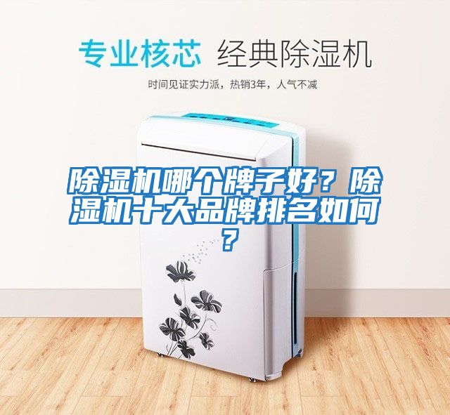 除濕機哪個牌子好？除濕機十大品牌排名如何？