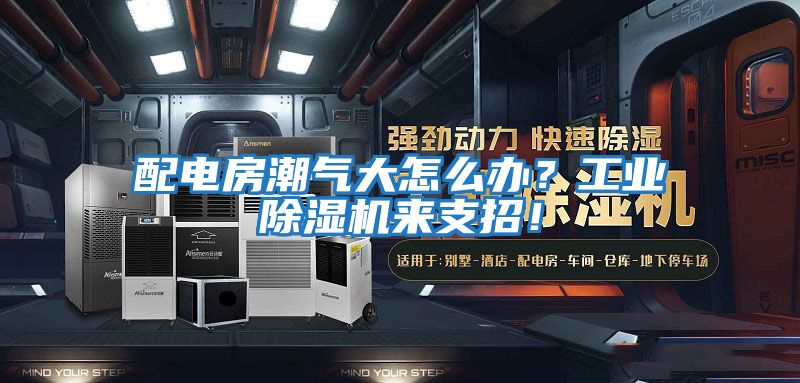 配電房潮氣大怎么辦？工業(yè)除濕機來支招！