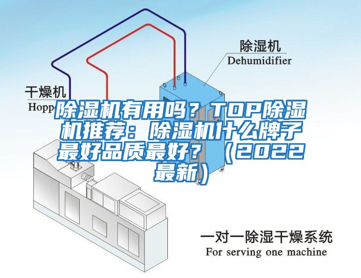 除濕機有用嗎？TOP除濕機推薦：除濕機什么牌子最好品質最好？（2022最新）