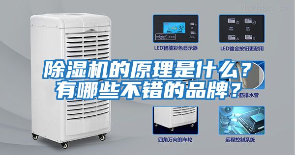 除濕機的原理是什么？有哪些不錯的品牌？