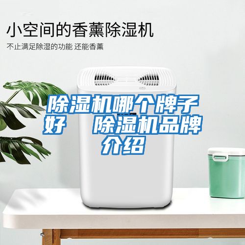 除濕機(jī)哪個牌子好  除濕機(jī)品牌介紹