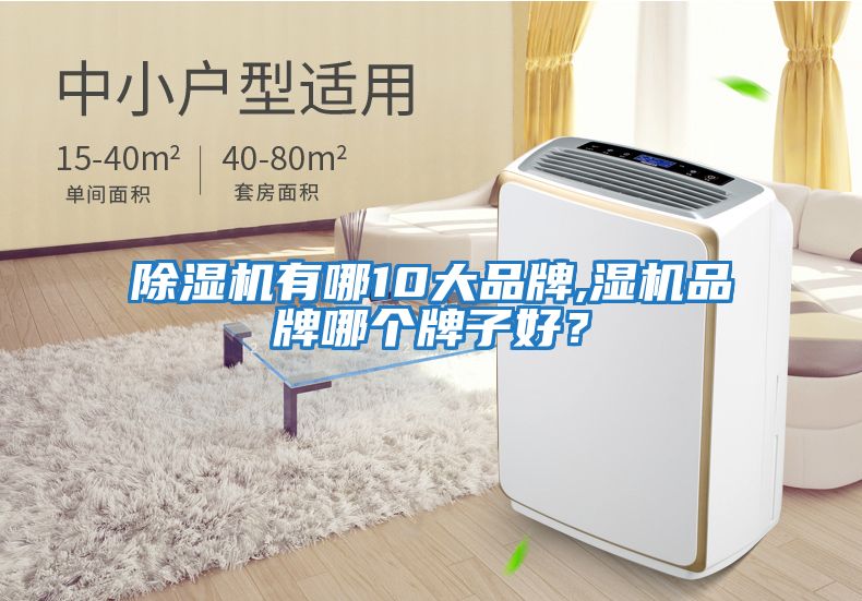 除濕機(jī)有哪10大品牌,濕機(jī)品牌哪個(gè)牌子好？