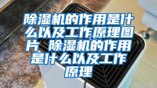 除濕機的作用是什么以及工作原理圖片 除濕機的作用是什么以及工作原理