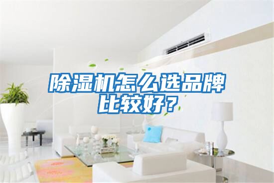 除濕機(jī)怎么選品牌比較好？