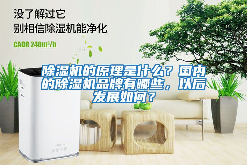 除濕機的原理是什么？國內(nèi)的除濕機品牌有哪些，以后發(fā)展如何？