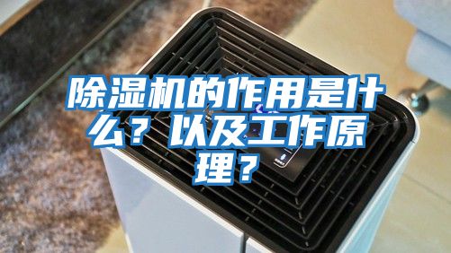 除濕機的作用是什么？以及工作原理？