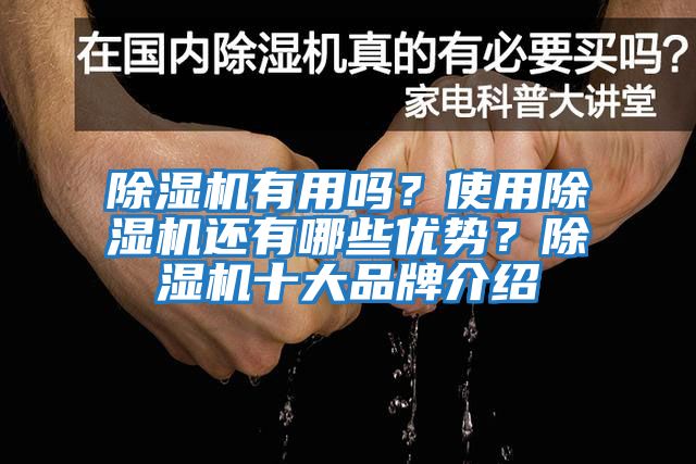 除濕機有用嗎？使用除濕機還有哪些優(yōu)勢？除濕機十大品牌介紹