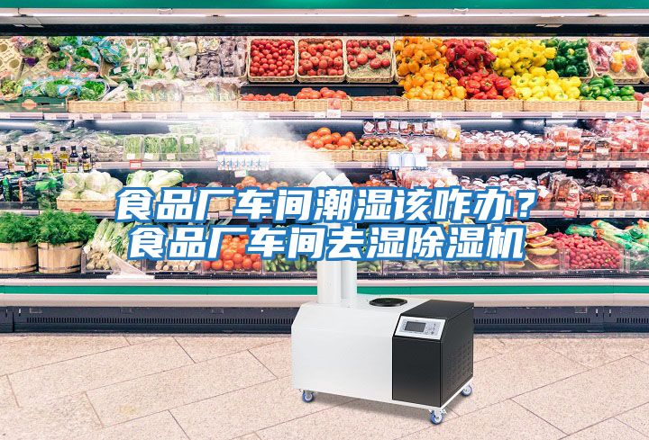 食品廠車間潮濕該咋辦？食品廠車間去濕除濕機(jī)