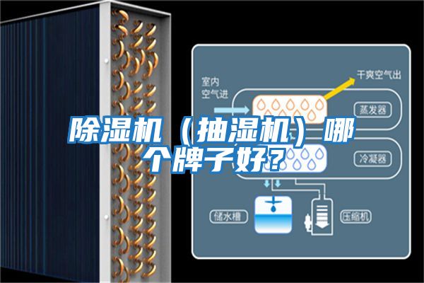 除濕機(jī)（抽濕機(jī)）哪個牌子好？