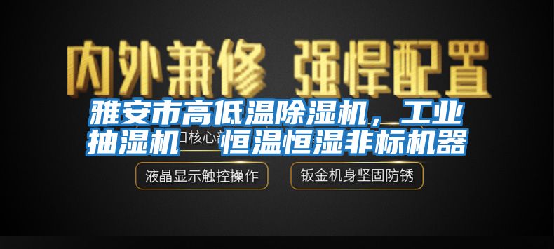 雅安市高低溫除濕機(jī)，工業(yè)抽濕機(jī)  恒溫恒濕非標(biāo)機(jī)器