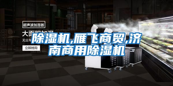 除濕機,雁飛商貿,濟南商用除濕機