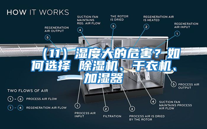 （11）濕度大的危害？如何選擇 除濕機(jī)、干衣機(jī)、加濕器