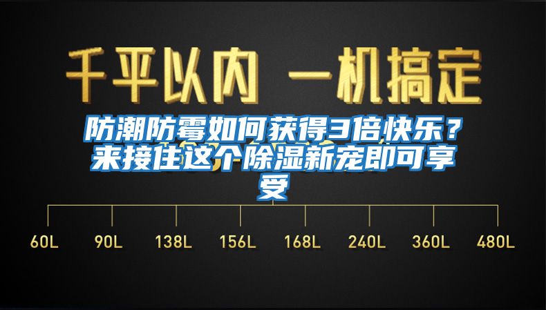 防潮防霉如何獲得3倍快樂？來接住這個除濕新寵即可享受